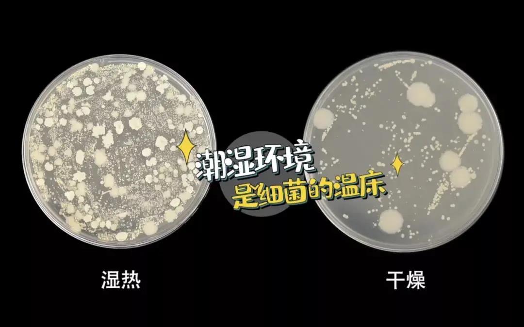 疫情反撲，居家防疫廚房重中之重！