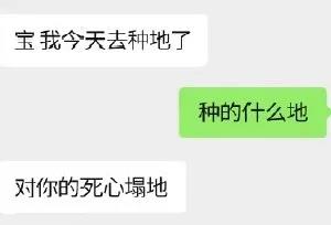 我命油我不油天，你的廚房去油了嗎？