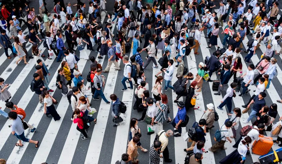 1731482824523466.jpg 1731482807364.jpg